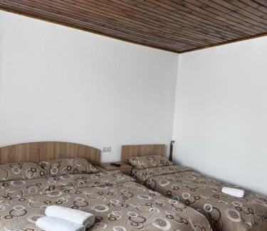 Cartisoara Haus | Casa Blendea Daniela