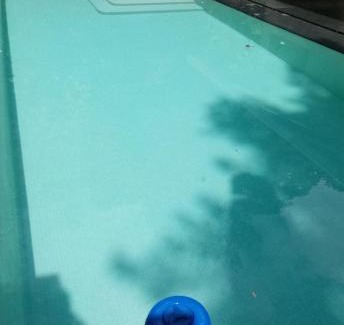 Dos Brazos Haus | Casa Bolita