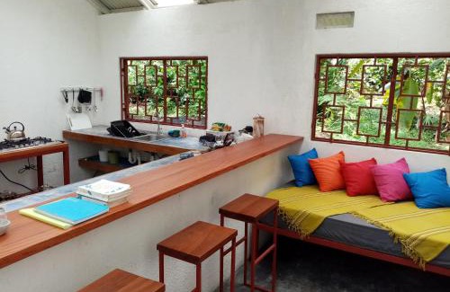 Dos Brazos Haus | Casa Bolita