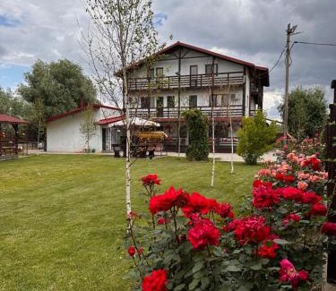 Calarasi Haus | Casa Carp Calarasi
