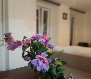 Coimbra Wohnung | Casa com vista sob a cidade!