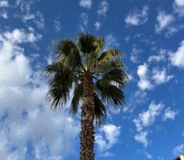 Corvera Wohnung | Casa Cristina, Corvera