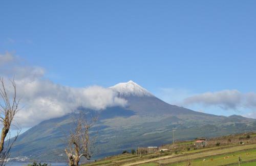 Lajes do Pico Haus | Casa da Abrótea