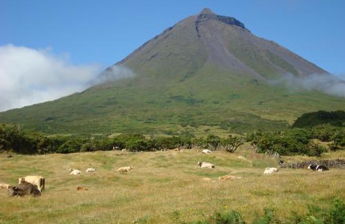 Lajes do Pico Haus | Casa da Abrótea