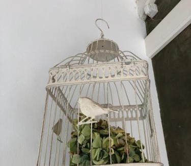 Santo Amaro Haus | Casa da Arquinha