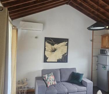 Madalena Haus | Casa da estrela canopus