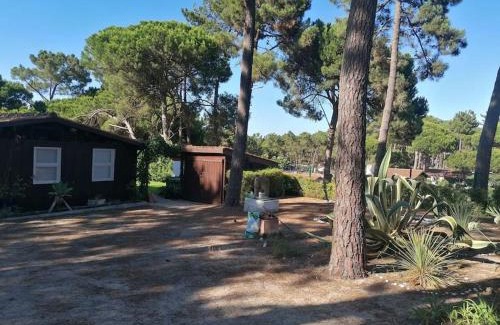 Lagoa de Albufeira Wohnung | Casa da Lagoa