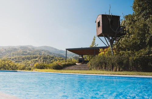 Santa Cruz do Douro Haus | Casa da Mouta - Douro Valley