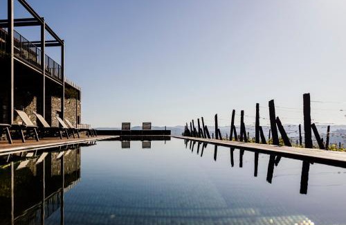 Peso da Regua Haus | Casa da Quinta de Santa Cruz - Private Pool - Douro Valley - by MET