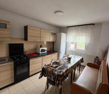 Vatra Dornei Haus | Casa Dany