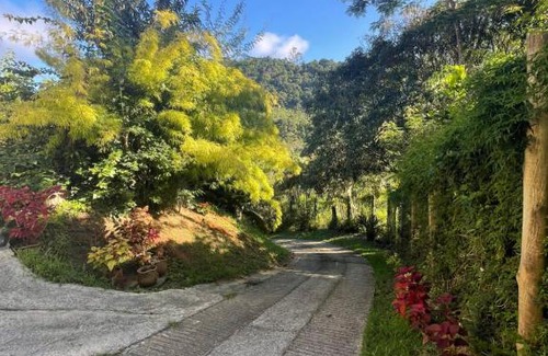Lumiar Haus | Casa das Flores - Lumiar