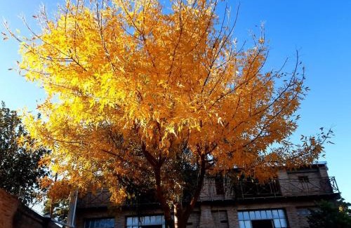 Polcos Haus | Casa de Campo