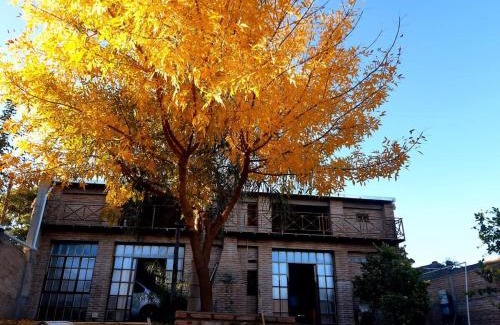 Polcos Haus | Casa de Campo