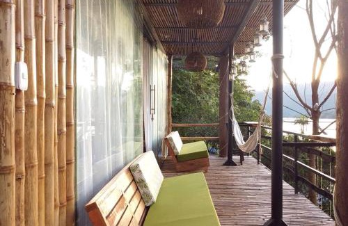 Purificacion Haus | Casa de las Guacamayas