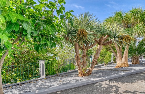 Canhas Hütte | Casa de Ponte, a Home in Madeira