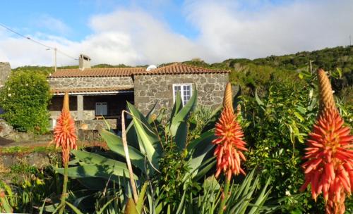 Lajes do Pico Haus | Casa do Bernardo