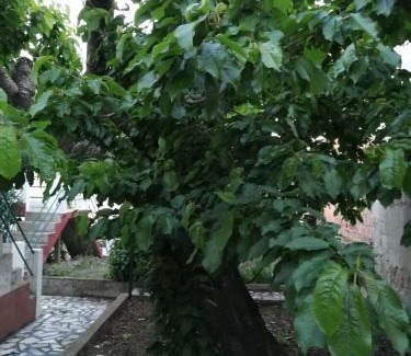 Tabuaco Haus | Casa do César Douro Guest House