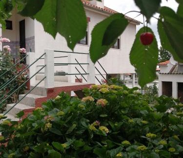 Tabuaco Haus | Casa do César Douro Guest House