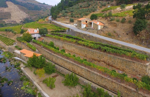 Varzea de Abrunhais Villa | Farm Recião - der Mill House