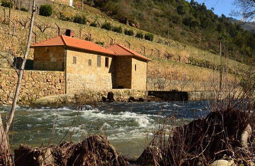 Varzea de Abrunhais Villa | Farm Recião - der Mill House