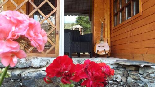 Figueiro dos Vinhos Haus | Casa do Ouriço