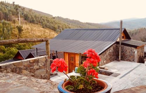 Figueiro dos Vinhos Haus | Casa do Ouriço