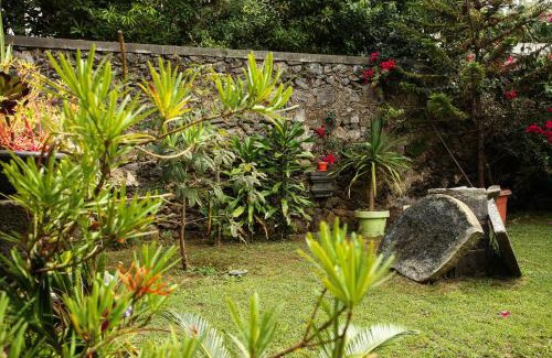 Ribeira Grande Haus | Casa do Pico Arde