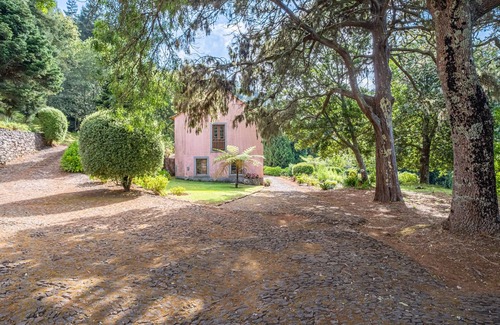 Camacha Hütte | CASA DOS CASTANHEIROS - Charming countryside Cottage