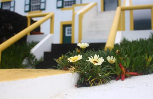 Santo Amaro Haus | Casa dos Felicias