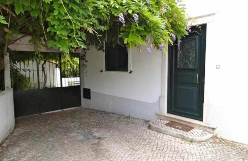 Torres Novas Haus | Casa dos Pocinhos Férias tranquilas no campo