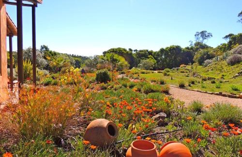 Barao de Sao Joao Wohnung | Casa dos Sonhos, private terrace, quiet location, walking to village, ecological pool, pets considered, nature friendly