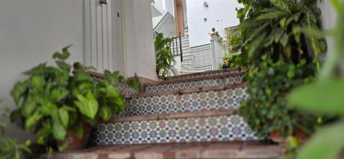 Alcala de los Gazules Wohnung | Casa dSanz "Relax con bañera de hidromasaje"