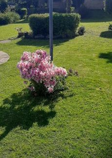 Sierra de los Padres Haus | Casa el Jagüel