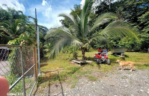 Puerto Jimenez Haus | Casa Familiar Grande Mono Congo de osa