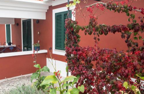 Foz do Arelho Haus | Casa Flamingo
