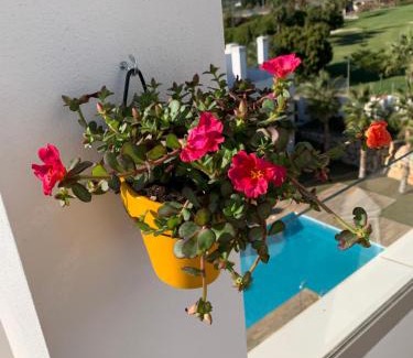 Caleta de Velez Wohnung | Casa Hans & Ann