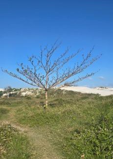 Braga Haus | Casa independente com piscina e sauna