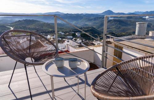 Olvera Haus | Casa Isabela Olvera