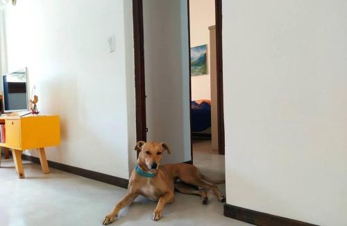 Chascomus Haus | Casa Limón