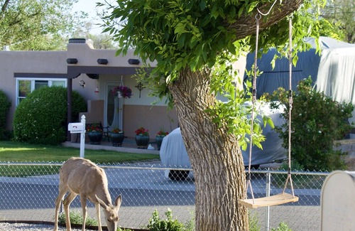 Los Alamos Haus | Casa Little Bird