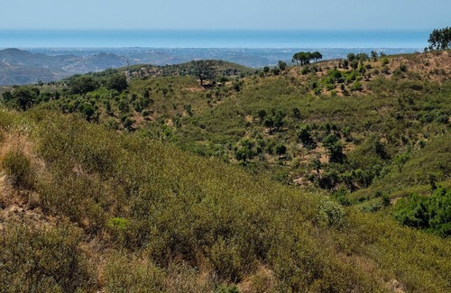 Fonte do Bispo Hütte | Casa Lynx, secluded hill top 2 bedroom getaway with pool and fenced garden