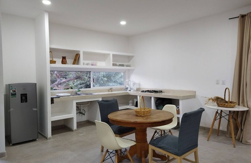 Ciudad Fernandez Wohnung | Casa Mango Departamento amplio