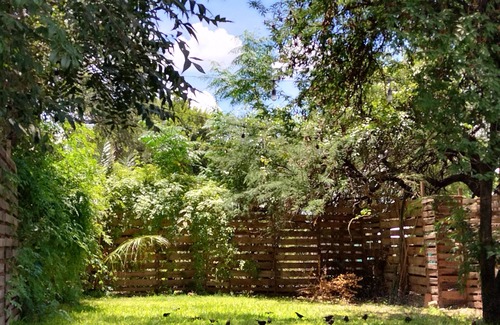 Ciudad Fernandez Haus | casa mango