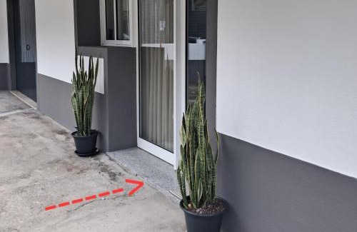 Sao Vicente Haus | Casa Martins