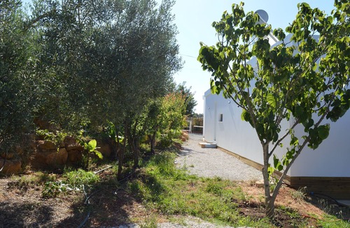 Olhao Haus | Casa Modular T2