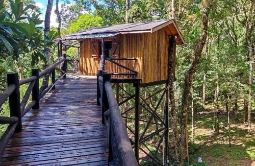 Monte Verde Kabine | Casa na Árvore Monte Verde