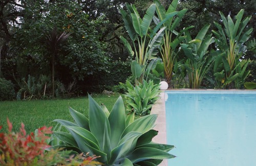 Porto de Mos Haus | Casa Oliva Casa da Serra