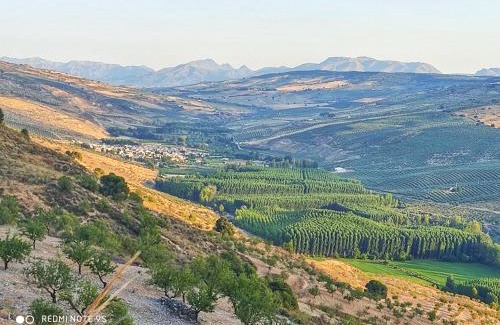 Cacin Haus | Casa Pepita