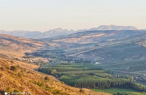 Cacin Haus | Casa Pepita