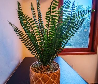 Santa Sofia Sonstige | Casa Piedra